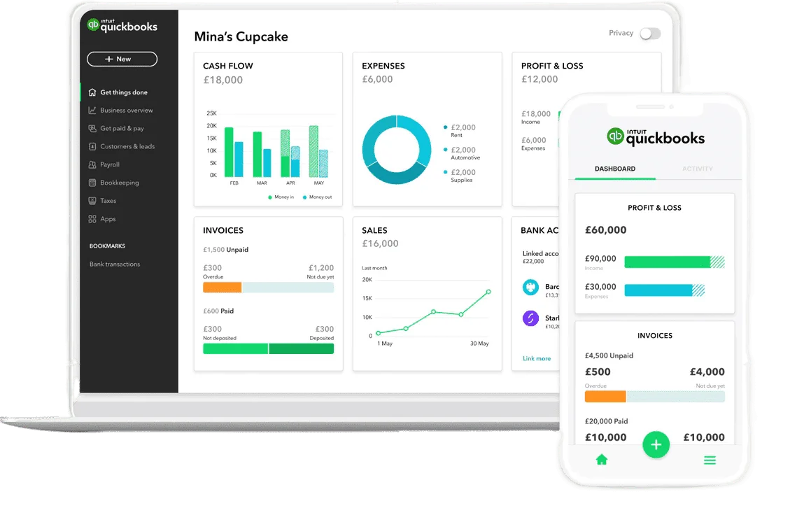 QuickBooks Desktop Premier Interface